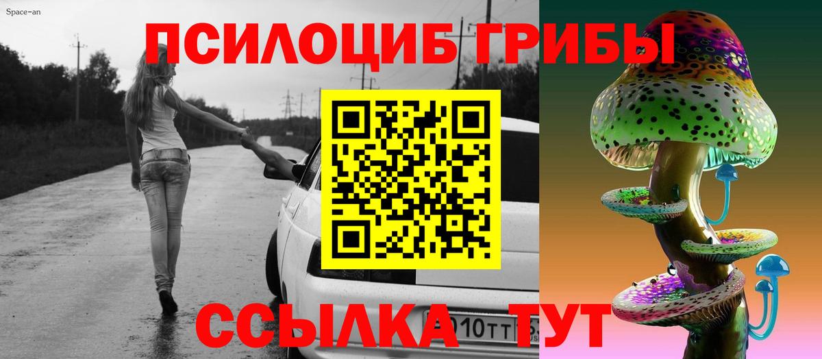 Галлюциногенные грибы MAGIC MUSHROOMS Чайковский