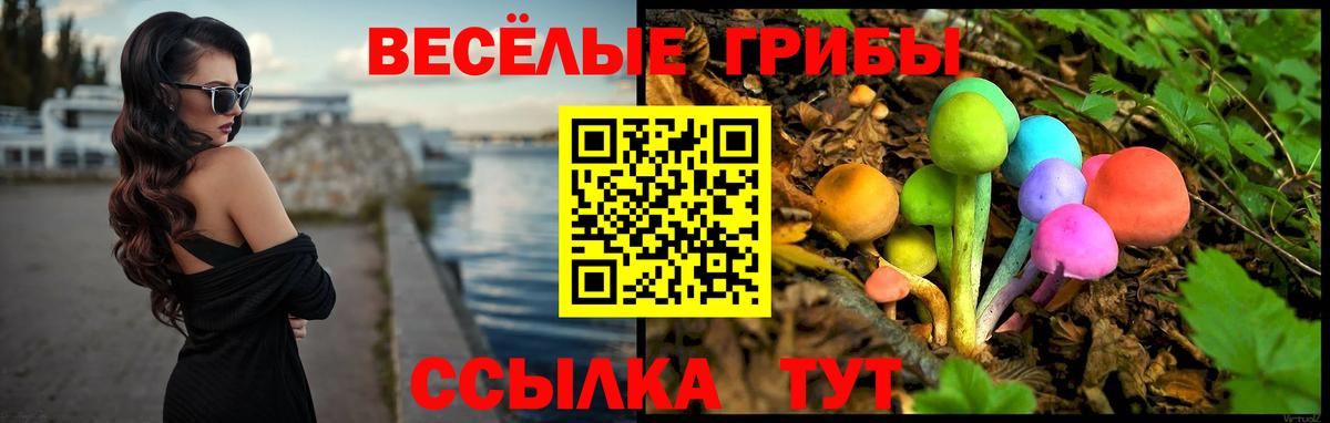 Галлюциногенные грибы MAGIC MUSHROOMS  Псилоцибиновые грибы Cubensis  Чайковский  Вход с VPN 